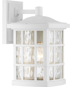 Stonington Medium 1-light Outdoor Wall Light  Coastal Armour White Lustre
