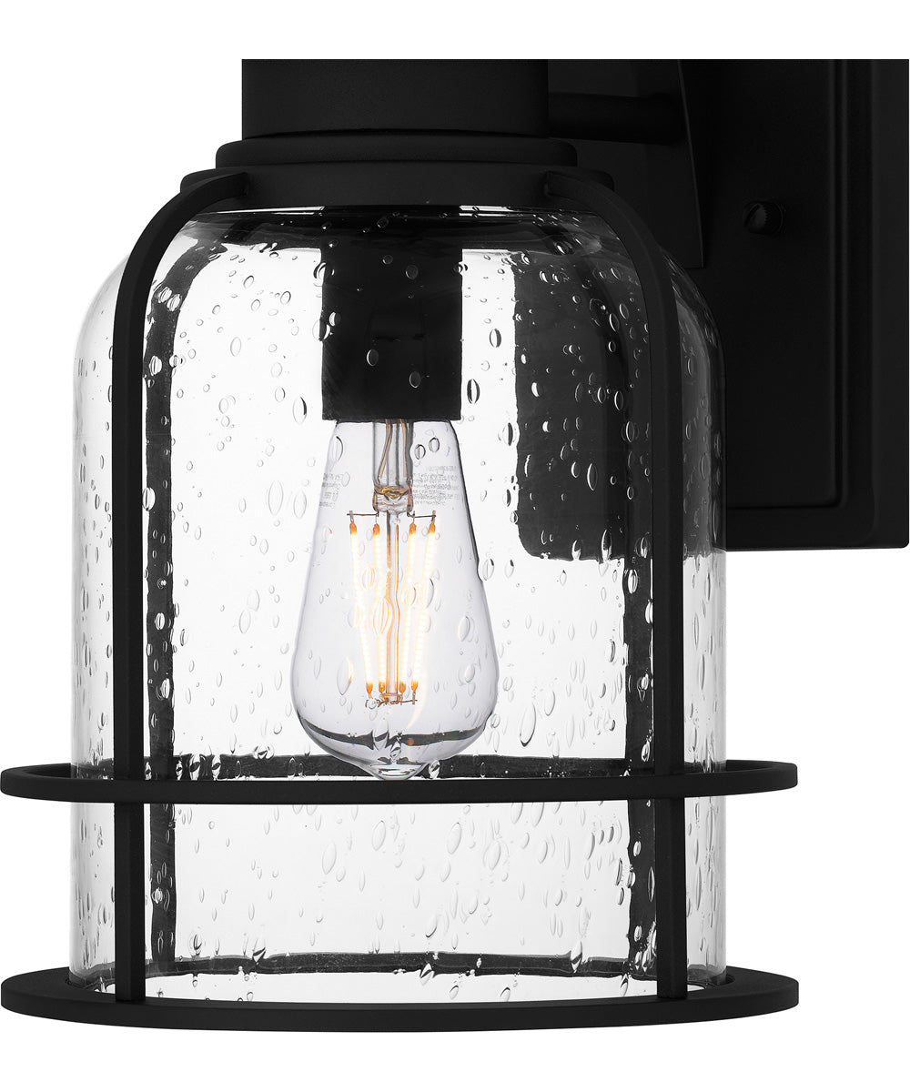 Bowles Medium 1-light Outdoor Wall Light Earth Black