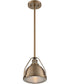 9"W Barbett 1-Light Pendant Burnished Brass