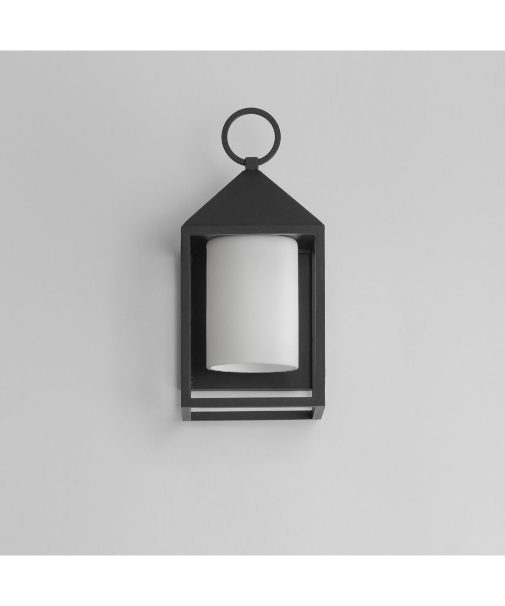 Aldous 1-Light Small Outdoor Sconce Black