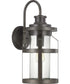 Haslett 1-Light Large Wall Lantern Antique Pewter