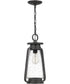 Sutton Large 1-light Outdoor Pendant Light Speckled Black
