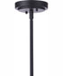 Briscoe 1-Light Outdoor Pendant Midnight