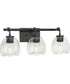 Caisson 3-Light Clear Glass Urban Industrial Bath Vanity Light Graphite