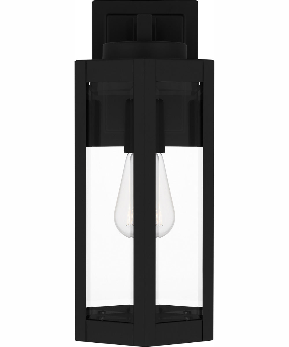 Mesnick Medium 1-light Outdoor Wall Light Matte Black