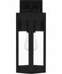Mesnick Medium 1-light Outdoor Wall Light Matte Black