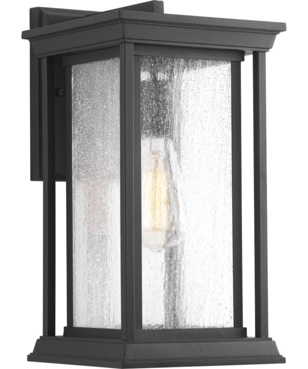 Endicott 1-Light Medium Wall Lantern Textured Black