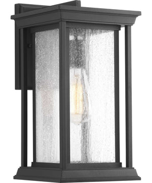 Endicott 1-Light Medium Wall Lantern Textured Black