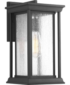 Endicott 1-Light Medium Wall Lantern Textured Black