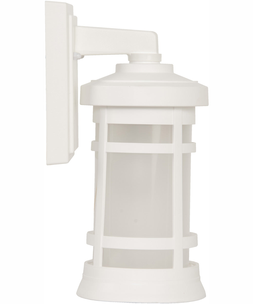 Resilience Lanterns 1-Light Outdoor Wall Lantern Matte White