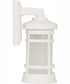 Resilience Lanterns 1-Light Outdoor Wall Lantern Matte White