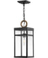 Porter 1-Light Medium LED Outdoor Hanging Lantern in Black