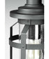 Haslett 1-Light Hanging Lantern Textured Black