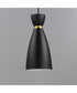Carillon 1-Light Elongated Mini Pendant Black / Satin Brass