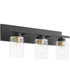 Carter 3-light Bath Vanity Light Matte Black