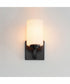 Deven 1-Light Wall Sconce Black