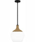Quoizel Piccolo Pendant 1-light Mini Pendant Matte Black