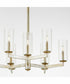 Merrick 9-light Chandelier Aged Silver Leaf
