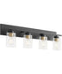 Carter 4-light Bath Vanity Light Matte Black