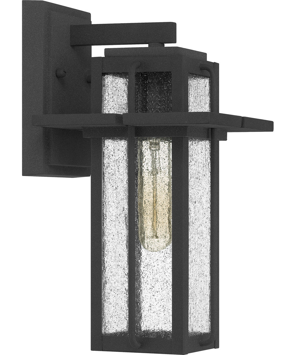 Randall Medium 1-light Outdoor Wall Light Mottled Black