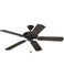 Ceiling Fans with Remotes
