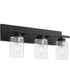 Carter 3-light Bath Vanity Light Matte Black