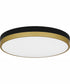 Weldin Medium Flush Mount Matte Black Gold
