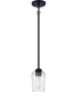 Shayna 1-Light Mini Pendant Flat Black