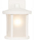 Resilience Lanterns 1-Light Outdoor Wall Lantern Matte White