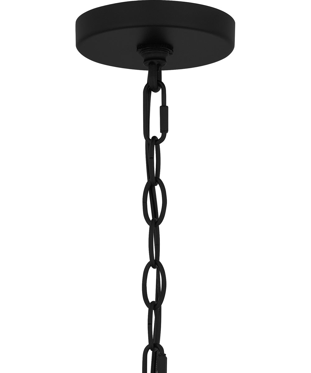 Tilmore Large 1-light Outdoor Pendant Light Matte Black