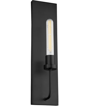 Sheridan 1-light Wall Mount Light Fixture Matte Black