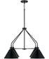 Alden 4-Light Chandelier Matte Black