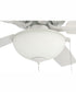 52" Outdoor Pro Plus 211 White 2-Light Indoor/Outdoor Ceiling Fan White