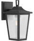 Padgett 1-Light Transitional Clear Seeded Glass Outdoor Wall Lantern Textured Black