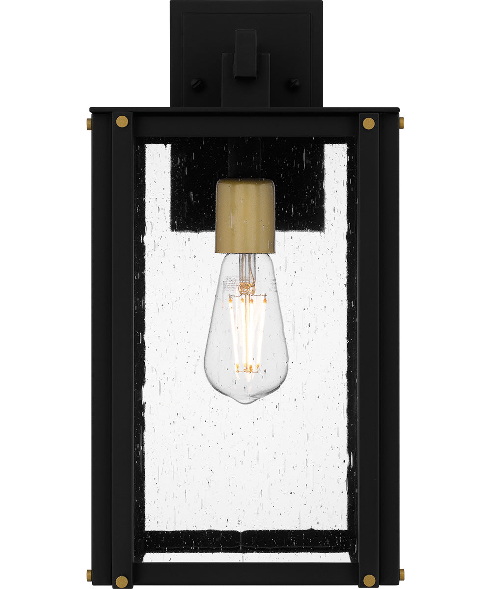 Robbins Medium 1-light Outdoor Wall Light  Coastal Armour Aluminum Matte Black