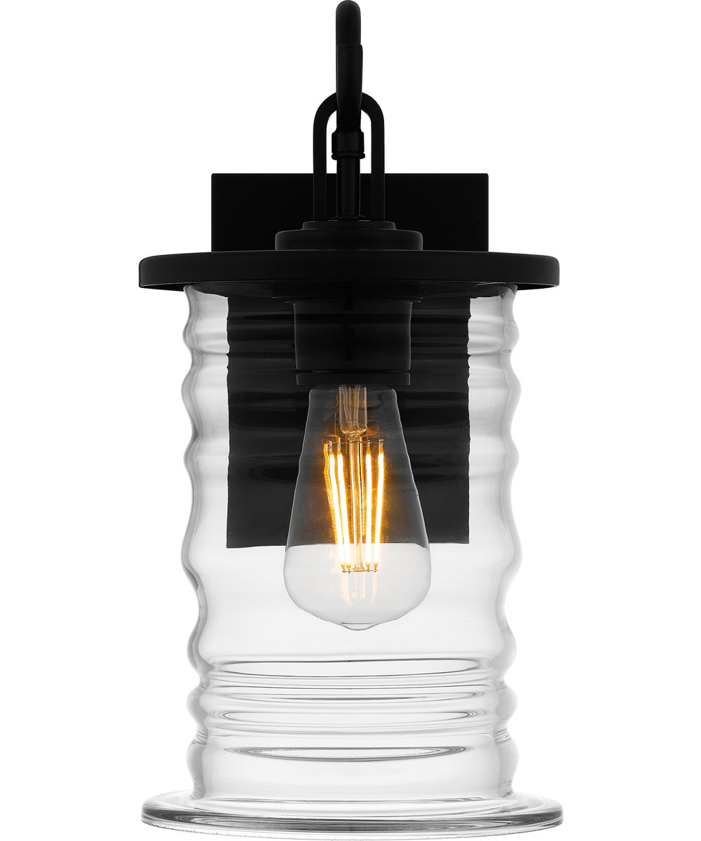 Noland Small 1-light Outdoor Wall Light  Coastal Armour Aluminum Matte Black