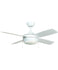 Ceiling Fans with Remotes