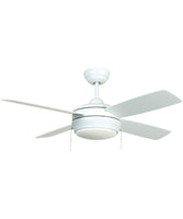 Ceiling Fans with Lights