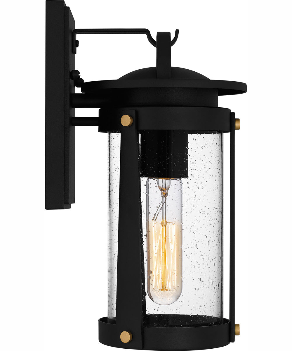 Clifton Small 1-light Outdoor Wall Light  Coastal Armour Aluminum Earth Black
