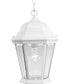 Welbourne 1-Light Hanging Lantern Textured White