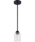 Chicago 1-Light Mini Pendant Flat Black