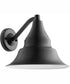 Sombra 1-light Wall Mount Light Fixture Matte Black