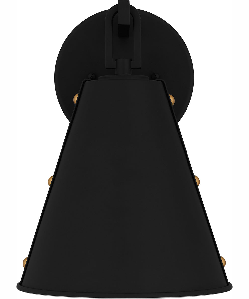 Hyde Medium 1-light Outdoor Wall Light  Coastal Armour Aluminum Matte Black