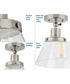 Hinton 1-Light Seeded Glass Vintage Style Ceiling Light Brushed Nickel