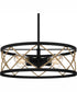 Quoizel Pendant Large 4-light Pendant Matte Black
