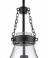 Eloise 1-Light Small Pendant in Black