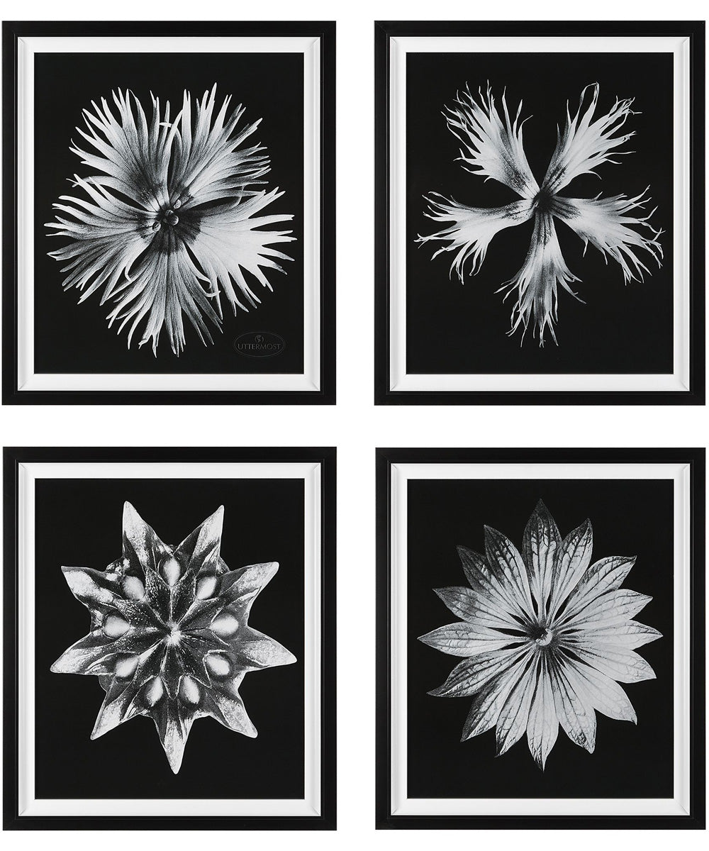 Contemporary Floret Framed Prints, Set of 4