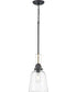 Rushton 1-Light Graphite/Vintage Brass Clear Glass Industrial Style Hanging Pendant Light Graphite