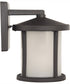 Resilience Lanterns 1-Light Outdoor Wall Lantern Bronze