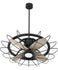Ceiling Fans with Remotes
